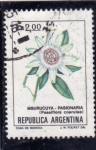 Stamps America - Argentina -  FLORES- pasionaria