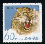 Stamps Asia - North Korea -  Leopardo