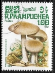 Stamps Cambodia -  Setas - Hebelona crustuliniforme