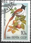 Stamps Russia -  aves