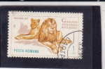 Stamps Romania -  Zoológico de Bucarest-leones