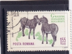 Stamps Romania -  Zoológico de Bucarest-cebras