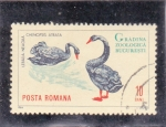 Stamps Romania -  Zoológico de Bucarest-