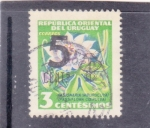 Stamps Uruguay -  FLOR- pasionaria