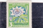 Stamps America - Uruguay -  FLOR- pasionaria