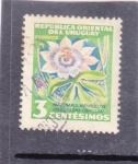 Stamps America - Uruguay -  FLOR- pasionaria
