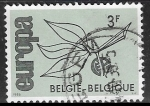 Stamps Belgium -  Europa (C.E.P.T.) 1965 - Fruit