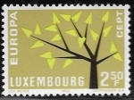 Stamps Europe - Luxembourg -   Europa (C.E.P.T.) 1962 - Arbol