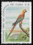 Stamps Cuba -  Navidad 1961