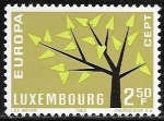 Stamps Europe - Luxembourg -   Europa (C.E.P.T.) 1962 - Arbol