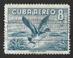 Sellos de America - Cuba -  C136 - Pato Joyuyo