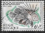Sellos de Europa - Blgica -  Bélgica 