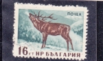 Sellos de Europa - Bulgaria -  CERVIDO