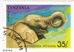 Sellos de Africa - Tanzania -  ELEFANTE AFRICANO