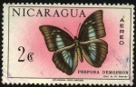Stamps : America : Nicaragua :  Nicaragua. Mariposa Prepona Demophon.