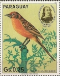Stamps : America : Paraguay :  Pajaros Audubon