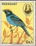 Stamps Paraguay -  Pajaros Audubon