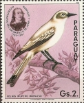 Stamps Paraguay -  Pajaros Audubon