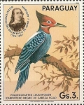 Stamps : America : Paraguay :  Pajaros Audubon