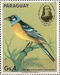 Stamps : America : Paraguay :  Pajaros Audubon