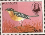 Sellos de America - Paraguay -  Pajaros Audubon