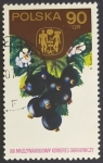 Stamps Poland -  Grosella negra