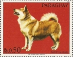 Stamps : America : Paraguay :  Perros de raza
