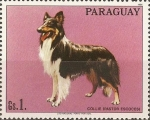 Stamps : America : Paraguay :  Perros de raza