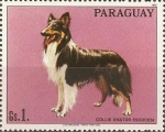 Sellos de America - Paraguay -  Perros de raza