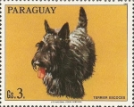 Sellos de America - Paraguay -  Perros de raza