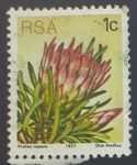 Stamps South Africa -  RESERVADO DAVID MERINO