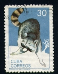 Stamps Cuba -  Mapache