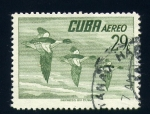 Sellos de America - Cuba -  Patos