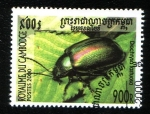 Stamps : Asia : Cambodia :  Coleóptero