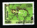 Stamps Cambodia -  Coleóptero