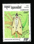 Stamps Cambodia -  Lepidoptero