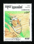 Stamps Cambodia -  Homoptero