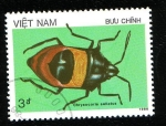 Stamps : Asia : Vietnam :  Heteroptero