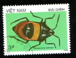 Stamps Vietnam -  Heteroptero