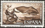 Stamps Equatorial Guinea -  eubalaena austrlis (fernando poo)