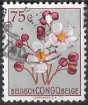 Sellos de Africa - Repblica Democrtica del Congo -  CONGO BELGA