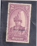 Sellos de Asia - Nepal -  rey Birendra