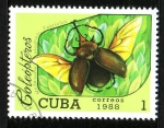 Stamps : America : Cuba :  Coleóptero