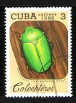 Stamps : America : Cuba :  Coleóptero