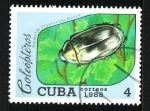 Stamps : America : Cuba :  Coleóptero
