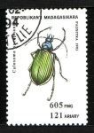 Stamps Madagascar -  Coleóptero