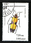 Stamps : Africa : Madagascar :  Coleóptero