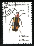 Stamps Madagascar -  Coleóptero