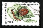 Stamps Romania -  Coleóptero