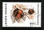 Stamps Romania -  Coleóptero